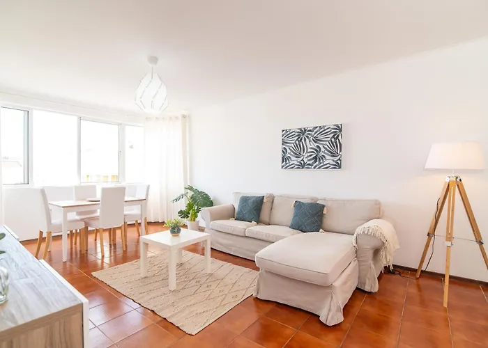 Ribeiro 蓬塔德尔加达