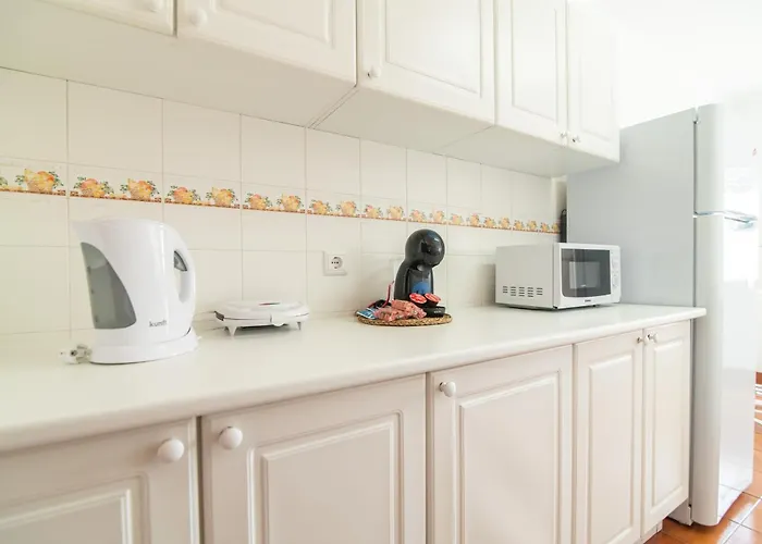 公寓 Ribeiro 蓬塔德尔加达